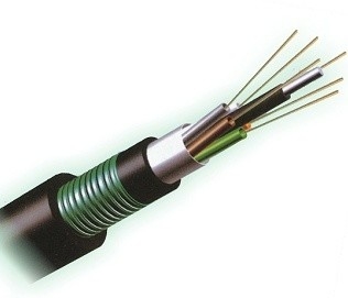 Customized Communication Single-Mode GYXTW GYTA53 Optic G652D Price Gyxtc8s GYXTY Asu Fiber Cable