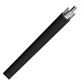 24 Core Outdoor G652D Single Mode With Two Steel Wire Strength Member Fiber Optic Cable GYXY